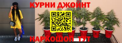 мдпв Тула