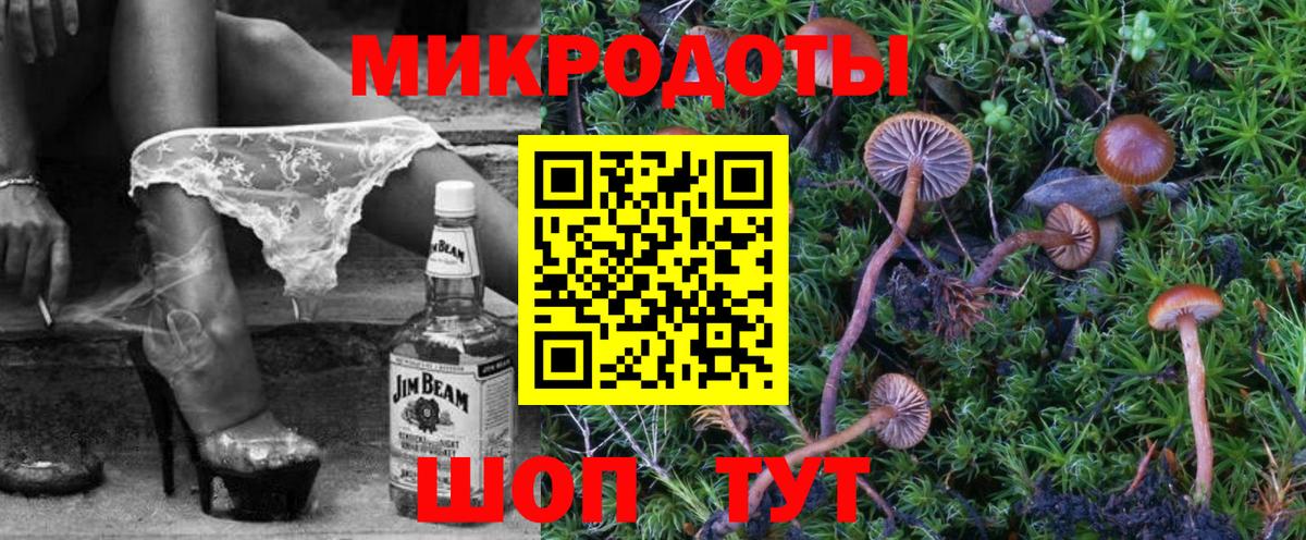 Галлюциногенные грибы Psilocybe  Вход с VPN  Назрань 